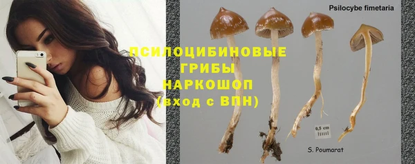 сатива Алзамай