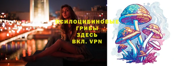 сатива Алзамай