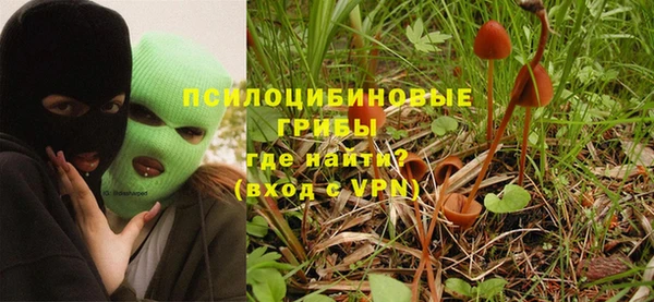 сатива Алзамай