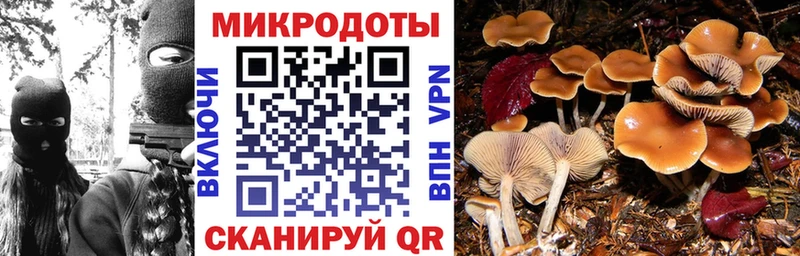 как найти наркотики  Протвино  Галлюциногенные грибы Magic Shrooms 