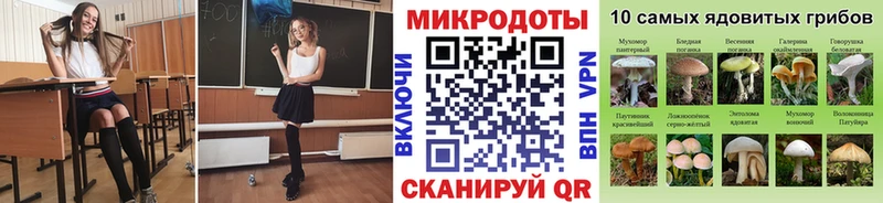 Псилоцибиновые грибы мухоморы Протвино